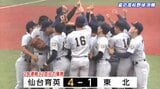 夏の甲子園かけた宮城大会決勝 仙台育英が東北を破り優勝 2年連続32回目の出場決める|TBS NEWS DIG