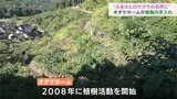 「ふるさとのサクラの名所に」住宅メーカーの社員が植樹の手入れ 富山 | 富山のニュース|天気・防災|チューリップテレビ