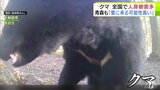 クマ「里に来る可能性が高い」専門家が警戒呼びかけ カメラがとらえた成獣とみられるクマ 2025年は母グマの栄養状態よく多くの子グマが産まれている可能性が…|TBS NEWS DIG