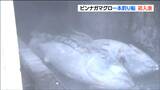 「豊漁の年」ビンナガマグロ280トン初水揚げ 刺身や缶詰に 宮城・石巻市 | 宮城のニュース│tbc NEWS│tbc東北放送