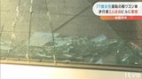 ガラス破片が散乱… 77歳女性が運転の車 2人をはねた上、建物の壁に衝突 愛媛・新居浜|TBS NEWS DIG