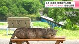 最長11連休 物価高でも笑顔 ゴールデンウイーク 各地の表情(2) | 高知のニュース・天気|KUTV NEWS | KUTVテレビ高知