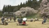 天然記念物「臥龍桜」が見頃 樹齢1100年はあまり 岐阜・高山市 | 名古屋・愛知・岐阜・三重のニュース【CBC news】 | CBC web