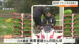 8月の収穫めざし“極早稲”ブランド米「おもてなし」一足早く田植え始まる　宮城・涌谷町　|　宮城のニュース│tbc NEWS│tbc東北放送