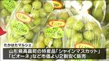 山形県高畠町の旬のブドウを販売「たかはたマルシェ」 宮城・村田町|TBS NEWS DIG