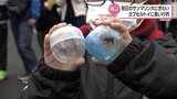 WBC侍ジャパンキャンプ 祝日も大賑わい カプセルトイが大人気|TBS NEWS DIG