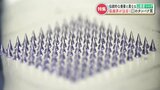 「痛みがほぼ無い」夢のような注射器の材料は絹(シルク)?世界の医療界が注目する『山鹿産シルク』 外科手術への応用も | 熊本のニュース|RKK NEWS|RKK熊本放送