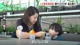 熊本の野菜たっぷり「豚汁」召し上がれ 農畜産物市場300杯を振る舞うイベント 熊本市 | 熊本のニュース|RKK NEWS|RKK熊本放送