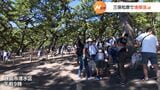 世界遺産・三保松原をきれいに市民300人が清掃活動(静岡県)|TBS NEWS DIG