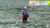 “金鮎の里”にも全国から多くの釣り客 青森県内の河川で「アユ釣り」が解禁 『友釣り』の感触楽しむ 鰺ケ沢町・赤石川|TBS NEWS DIG