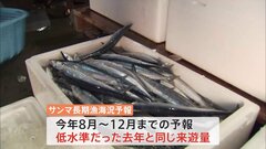 サンマは今年も“高値”の見通し 来遊量は「去年と同水準」と水産庁予報　海水温上昇の影響で歴史的不漁続く| TBS CROSS DIG with Bloomberg