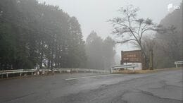 「山に置き去りにされた少年を保護している」8歳の男の子を山に置き去りにしたか…母親と交際相手を逮捕＝静岡県警|TBS NEWS DIG