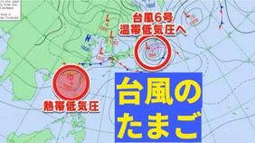 【台風のたまご】熱帯低気圧発生へ「台風6号と同じような進路」の予想も【雨・風シミュレーション3日（水）～8日（月）】台風情報に今後注意　気象庁天気図詳しく|TBS NEWS DIG