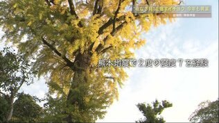 “震度7”に2度耐えて 地区を見守る「津森神宮」のイチョウ色づく　熊本県益城町【ドローン映像】　|　熊本のニュース｜RKK NEWS｜RKK熊本放送