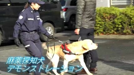 麻薬探知犬でラブラドールのニック号(7)も参加 税関「年末特別警戒