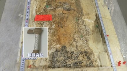 長いだけじゃなかった…」巨大蛇行剣の全容が明らかに、刀剣の歴史に