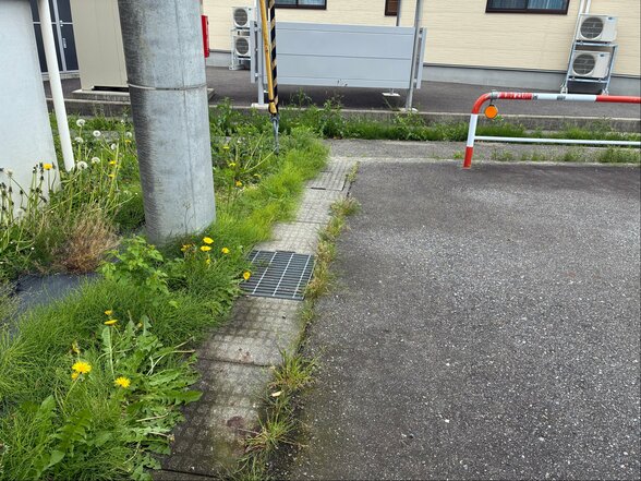 「かまれて出血している」用水からクマ 飛び出し…散歩中の40代女性 顔、頭、首に引っかき傷の「中等症」一夜明けて猟友会などが警戒　富山　　|　富山のニュース｜天気・防災｜チューリップテレビ