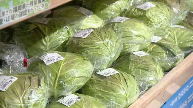 キャベツ例年の3倍 道の駅に買い物客が殺到 少しでも安い野菜求めて 農家は「春になれば・・・」|TBS NEWS DIG