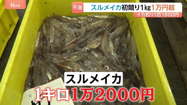 スルメイカ初競り1kg1万2000円! 令和で最高値“庶民の味”が高級品に|TBS NEWS DIG