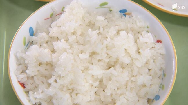 どうなる“日本のコメづくり” 長引く価格高騰の打開策は…参議院選挙の争点【選挙の日、その前に。】|TBS NEWS DIG