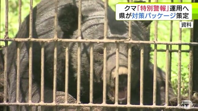 クマ「特別警報」の運用へ 2025年に出没が過去最多となったクマの対策パッケージを青森県がまとめる 来シーズンの出没に備え|TBS NEWS DIG