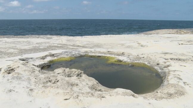 海岸にポツン…巨大な穴 『一つ目小僧』の謎 幅2メートル・深さ1メートル超 ただの“甌穴”ではない?なぜこの場所に…自然が生み出すミステリーとは?|TBS NEWS DIG