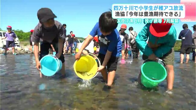 清流・四万十川でのアユ漁"解禁"前に、約4400匹の「稚アユ」放流　「今年は稚魚の遡上が多く、豊漁が期待」【高知】|TBS NEWS DIG