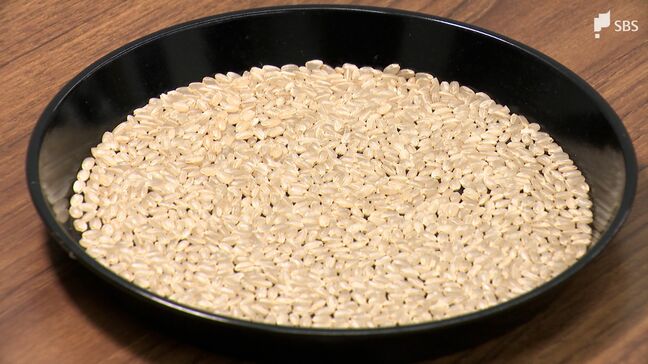 「上と下の差が困りもの」夏の猛暑の影響で評価分かれる 2025年産米の品評会 =静岡市|TBS NEWS DIG