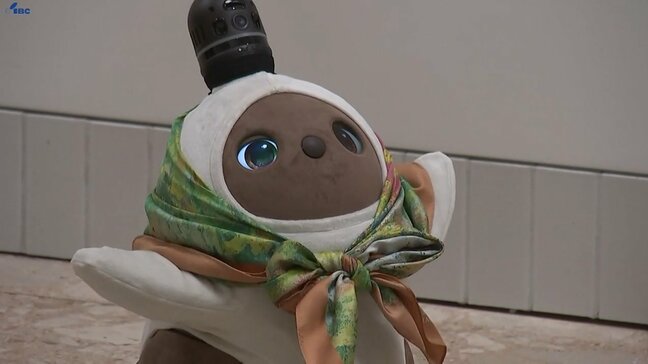 東京の資産形成コンサルティング会社がヘラルボニーに家庭用ロボットを贈る　盛岡市|TBS NEWS DIG