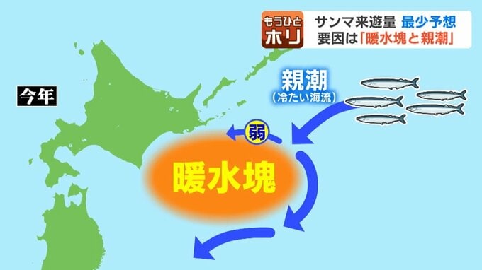サンマの南下ルートと暖水塊・親潮の影響を示す解説図