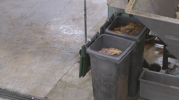 2021年度の食品ロス523万トン　コロナ禍受け過去最少とほぼ同量に　家庭での廃棄減少も…事業者の食品ロスが微増|TBS NEWS DIG