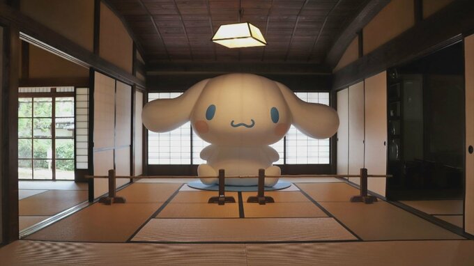 和室でたたずむ「巨大シナモン」が話題　幅4メートルのシナモンに会える「シナモロール展」　|　BSSニュース | BSS山陰放送
