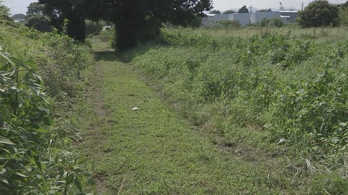 【速報】死因は「頭部打撲による脳挫傷」　相模原市で男子生徒（17）が死亡　警察は傷害致死を視野に捜査|TBS NEWS DIG