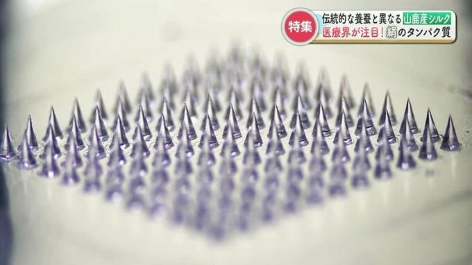 「痛みがほぼ無い」夢のような注射器の材料は絹（シルク）？世界の医療界が注目する『山鹿産シルク』 外科手術への応用も　|　熊本のニュース｜RKK NEWS｜RKK熊本放送