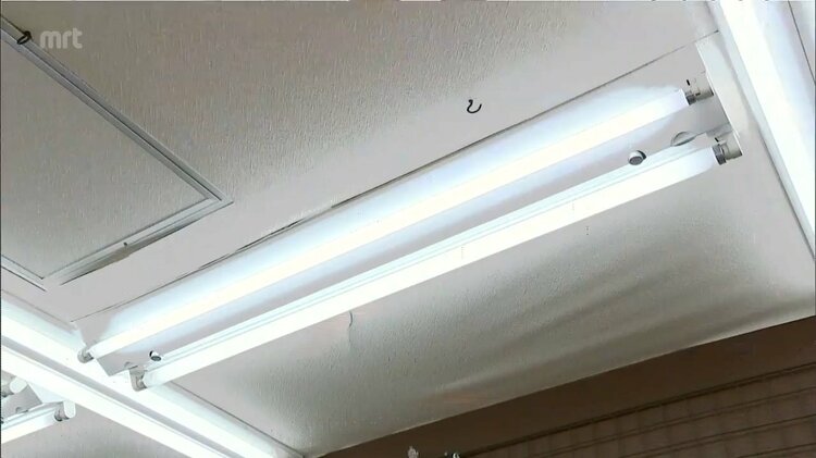 え、そうなんですか」蛍光灯が2027年末にかけ製造禁止へ LEDの取り付け