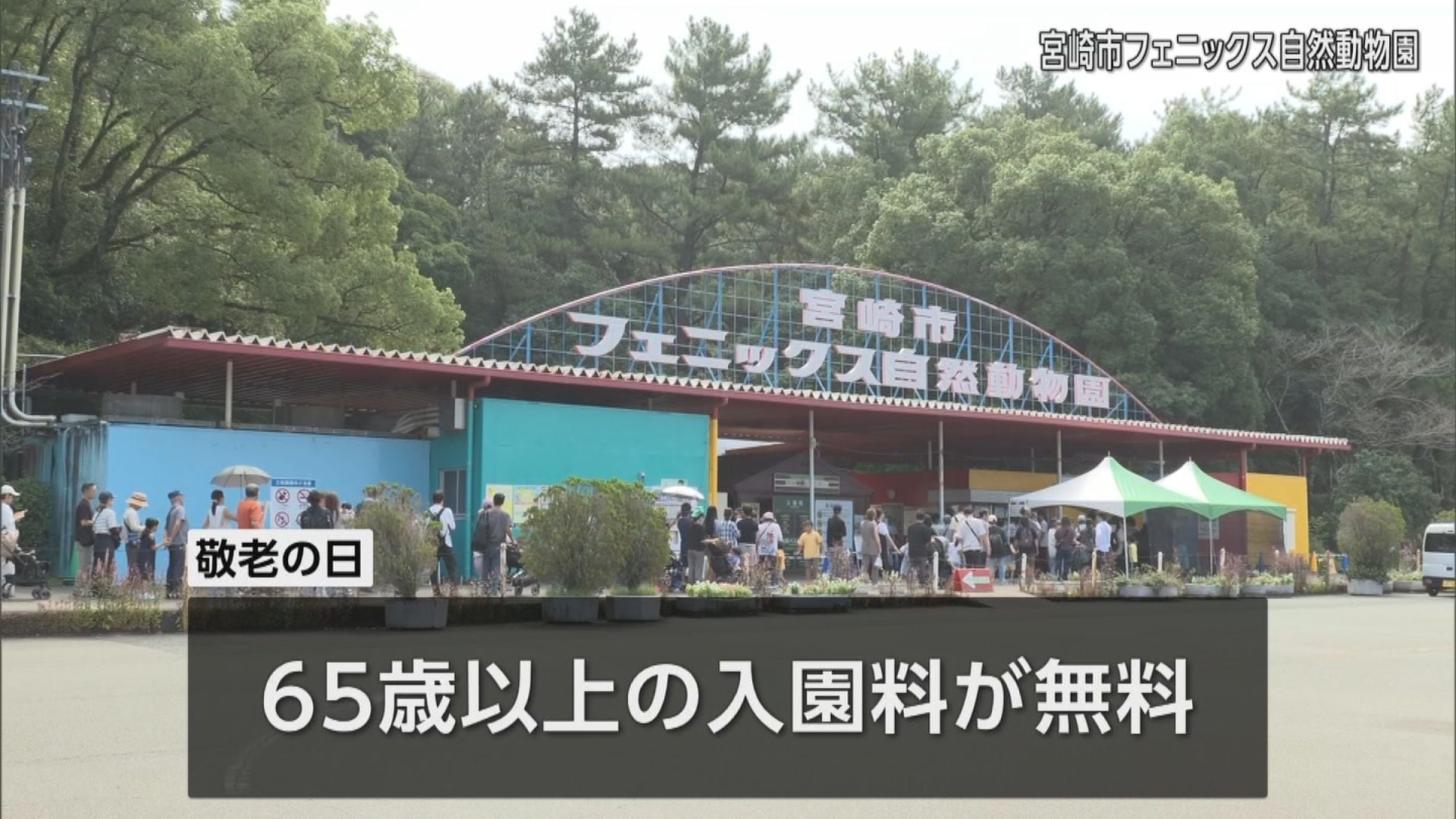 動物園でも敬老の日のイベント 「ご長寿の動物ガイド」 | MRTニュース