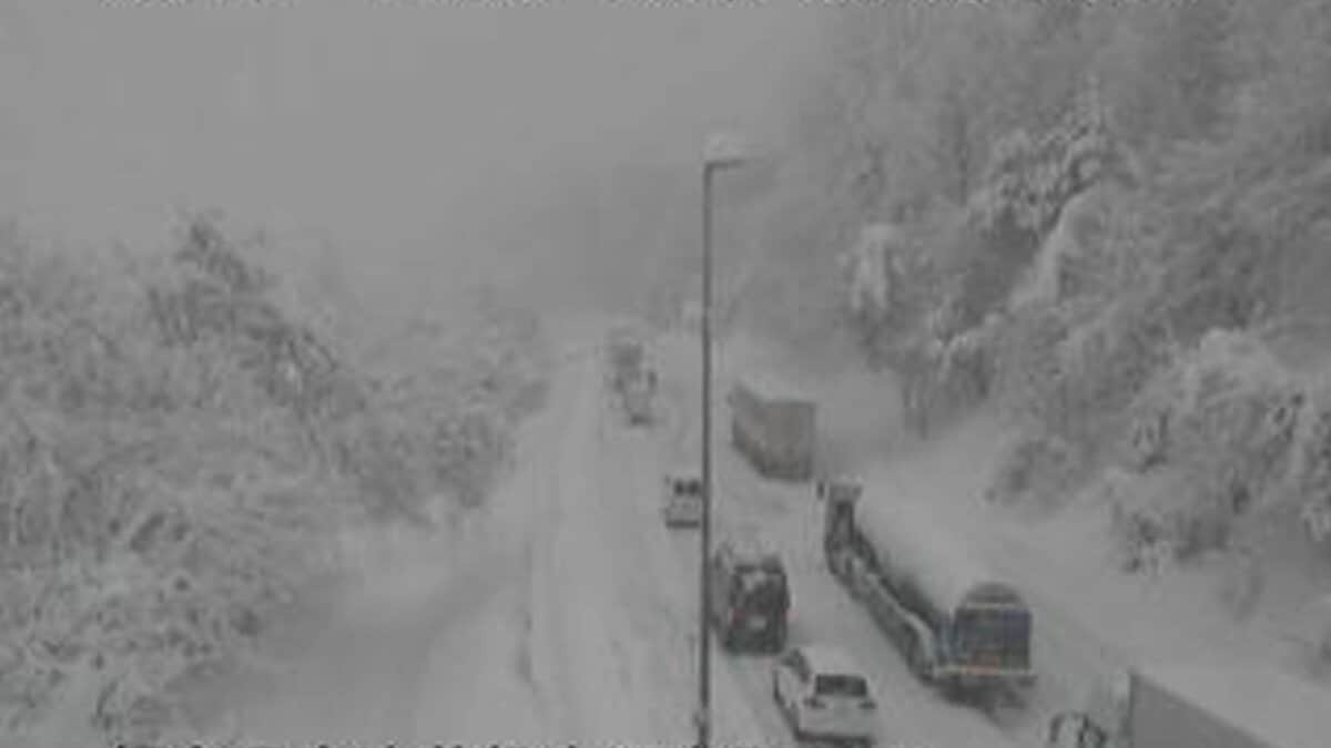 雪 前が見えない…」車立ち往生、国道49号は通行止めも 会津中心に大雪