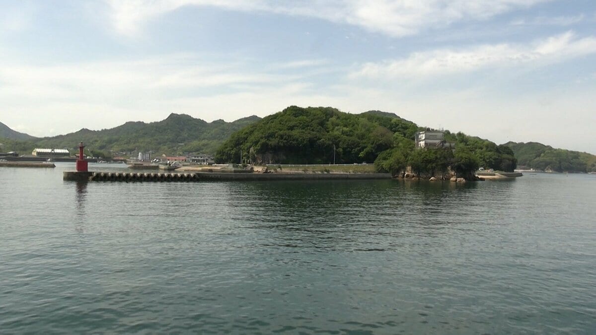過疎高齢化が進む島の畑で「おかやま元気！集落応援団」登録企業が草刈り【岡山・白石島】