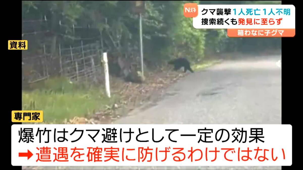 爆竹”鳴らすも不明女性クマに襲われたか発見に至らず 専門家「クマは首