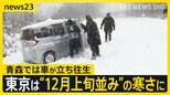 暖かさから一転…“冬将軍”到来 東京は“12月上旬並み”の寒さに 青森県内では積雪で車の立ち往生相次ぐ【news23】|TBS NEWS DIG