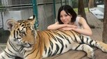 【 當真あみ 】トラとのツーショット公開に驚きの反響続々「あみちゃんワイルド」「度胸ありますね」|TBS NEWS DIG