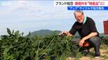 「何だこの甘みは！」“日本一の枝豆県”の『幻の枝豆』に惚れ込んだ仕掛け人   半分近くが規格外になる一級品をアップサイクルで特産品に　新潟・弥彦村|TBS NEWS DIG