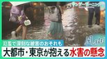 「1つ高いレベルの脅威に変わった」大都市・東京が抱える水害の懸念 荒川の氾濫で深刻な被害のおそれも　防災の日に考える夏の豪雨【サンデーモーニング】|TBS NEWS DIG