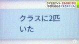 「クラスに2匹いた」「あれは確実にヒグマ。頭数30」くまログあおもりに虚偽情報の投稿 意図的・悪意ある投稿は『偽計業務妨害の罪』に問われる可能性も 専門家が指摘「大きな犯罪」 西市長「絶対にやめて」 | 青森のニュース│ATV NEWS│青森テレビ