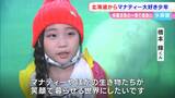 北海道の少年(9)が「マナティー」に会いに新屋島水族館に!「マナティーが笑顔で暮らせる世界に」【香川】|TBS NEWS DIG