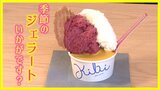 季節の味を『ジェラート』でいかが?100種類以上から旬に合わせ8種類を週替わり提供する専門店(青森・十和田市) | 青森のニュース│ATV NEWS│青森テレビ