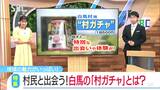 思わぬ出会いが楽しい!白馬村で話題の「村ガチャ」とは?地域の知られざる魅力伝える新ツールに | SBC NEWS | 長野のニュース | SBC信越放送