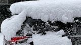 【交通機関への影響】高知に約5年ぶり大雪警報(午前8時30分現在) | 高知のニュース・天気|KUTV NEWS | KUTVテレビ高知