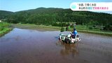 “水鏡”で輝く水田　特別栽培米「土佐天空の郷」の田植え始まる　高知・本山町|TBS NEWS DIG