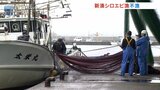 不漁で3回目休漁のシロエビ漁13日ぶりに再開も漁獲量なし 能登半島地震の影響大きく 新湊漁港 | 富山のニュース|天気・防災|チューリップテレビ